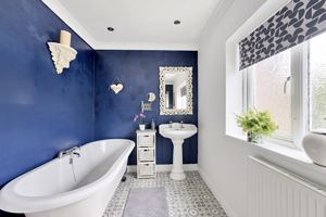 Photo 16- click for photo gallery